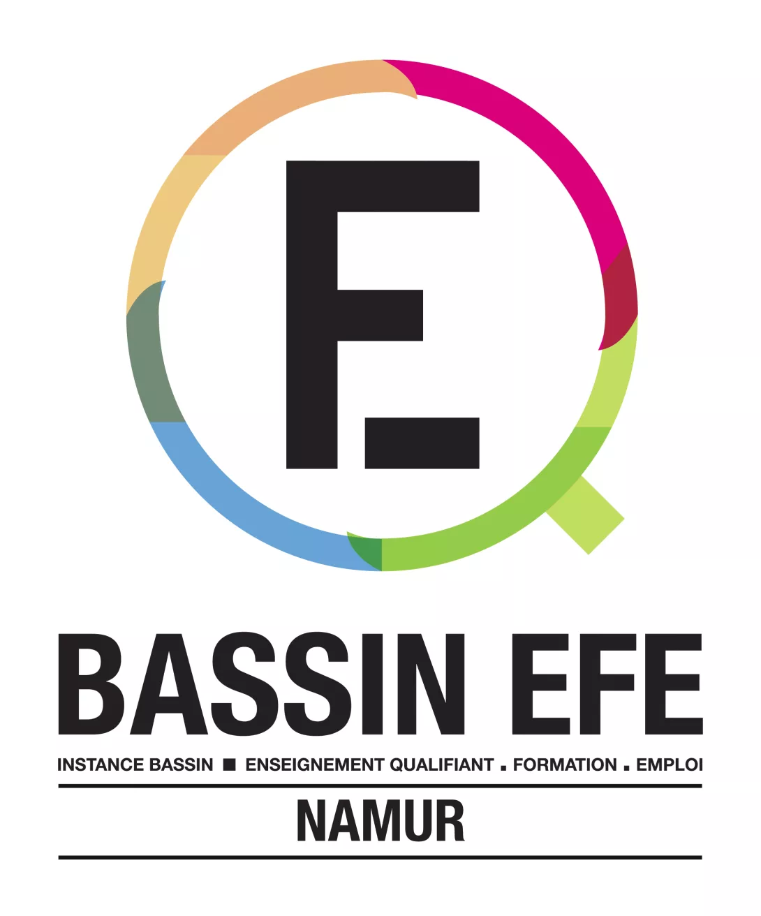 Bassin_EFE_Namur_Logo_DEF_RVB.jpg